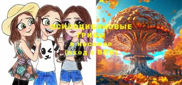кристаллы Горняк
