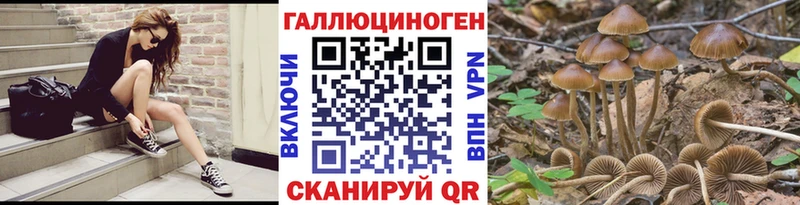 Галлюциногенные грибы прущие грибы  Купить где  Татарск 